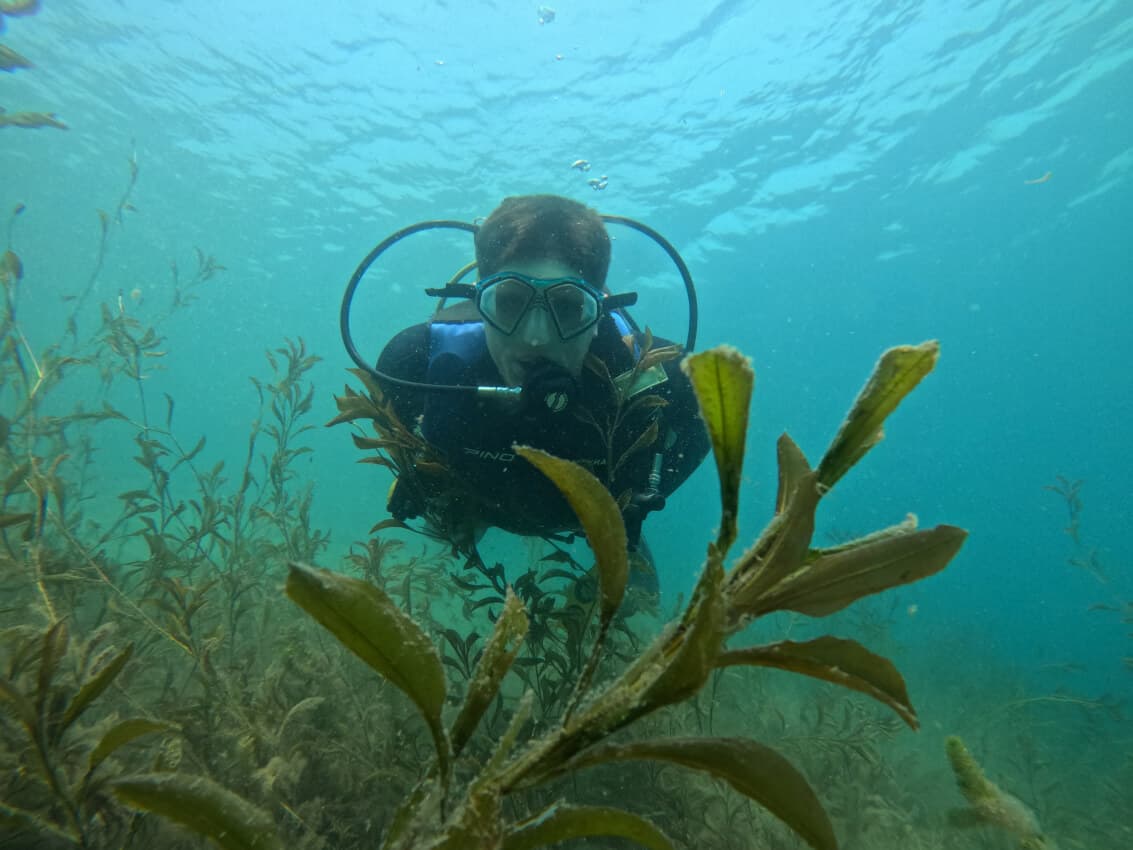 Buceo Bautismo